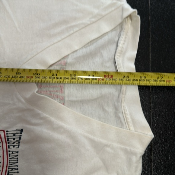 Vintage Punk These Animal Men t-shirt from 1995 tour. Back print. - Picture 3 of 6